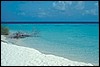 maldive 013.jpg