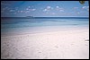 maldive 025.jpg