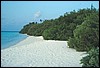 maldive 040.jpg