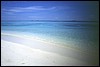 maldive 100.jpg