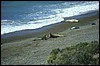 patagonia 054.jpg