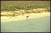 senegal 053.jpg