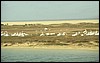 senegal 064.jpg