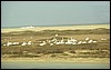 senegal 065.jpg