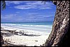 zanzibar 022.jpg