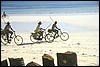 zanzibar 033.jpg