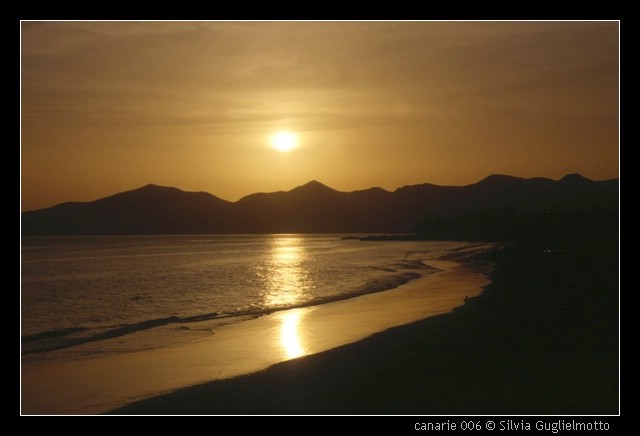 canarie 006.jpg