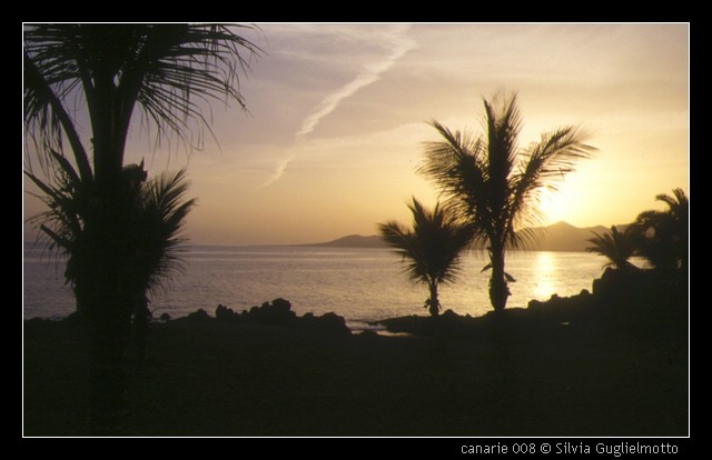 canarie 008.jpg