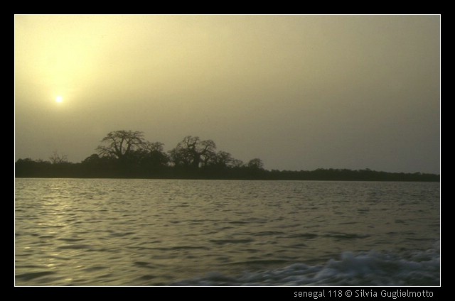 senegal 118.jpg