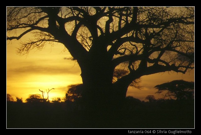tanzania 064.jpg