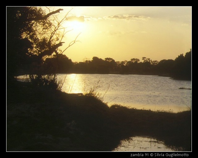 zambia 91.jpg