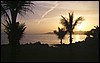 canarie 008.jpg