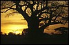 tanzania 064.jpg