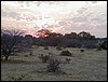 tanzania parco tarangire 185.jpg