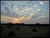 tanzania parco tarangire 186.jpg