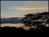 tanzania parco tarangire 620.jpg