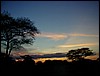 taranzania parco tarangire 217.jpg