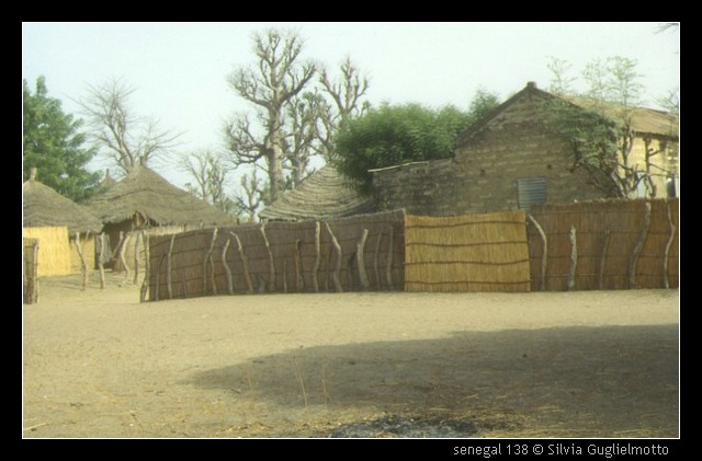 senegal 138.jpg