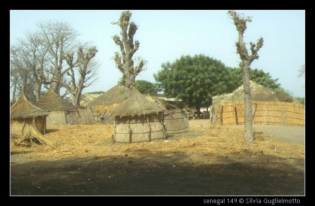 senegal 149.jpg