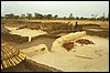 africa nera 087.jpg