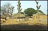 senegal 149.jpg