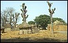 senegal 157.jpg