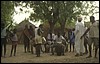 senegal 179.jpg