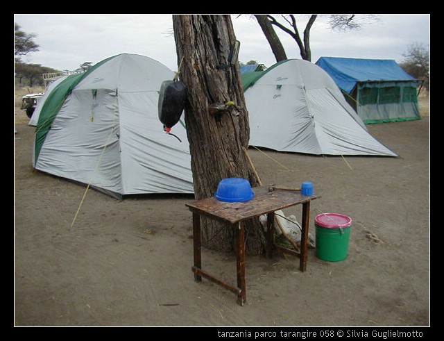 tanzania parco tarangire 058.jpg