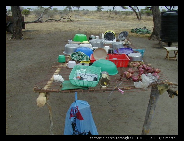 tanzania parco tarangire 081.jpg