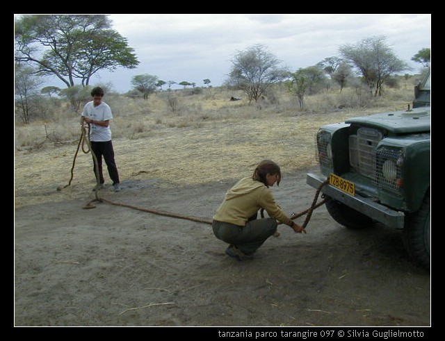 tanzania parco tarangire 097.jpg