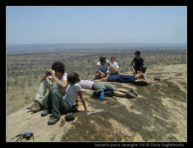 tanzania parco tarangire 100.jpg