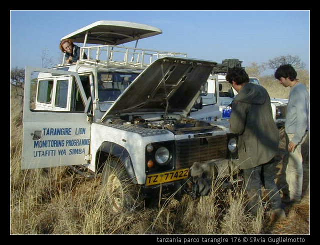 tanzania parco tarangire 176.jpg