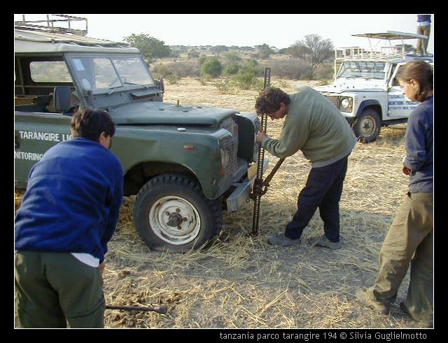 tanzania parco tarangire 194.jpg