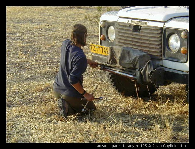 tanzania parco tarangire 195.jpg