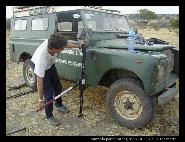 tanzania parco tarangire 198.jpg