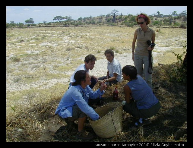 tanzania parco tarangire 263.jpg