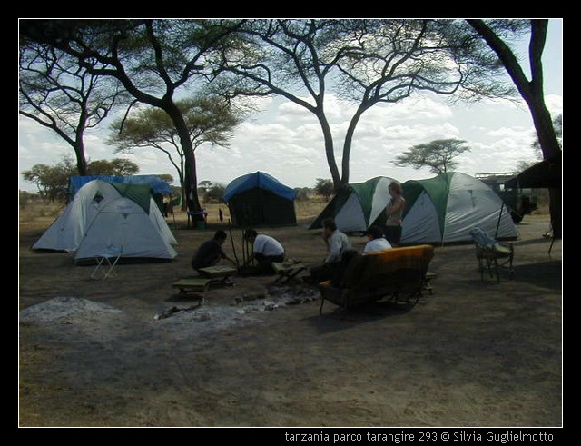 tanzania parco tarangire 293.jpg