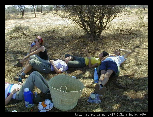 tanzania parco tarangire 487.jpg