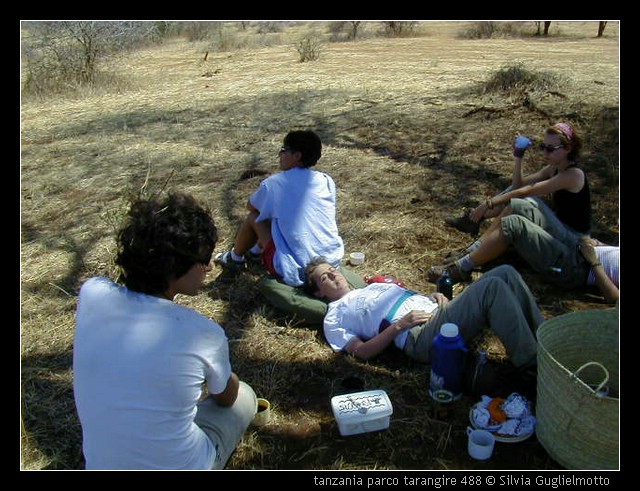 tanzania parco tarangire 488.jpg
