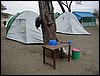 tanzania parco tarangire 058.jpg