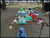 tanzania parco tarangire 081.jpg
