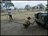 tanzania parco tarangire 097.jpg