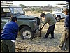 tanzania parco tarangire 194.jpg