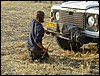 tanzania parco tarangire 195.jpg