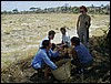 tanzania parco tarangire 263.jpg