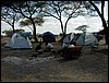 tanzania parco tarangire 293.jpg