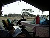 tanzania parco tarangire 611.jpg