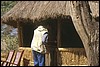 zambia 161.jpg