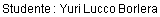 Studente : Yuri Lucco Borlera
