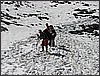 IMG_0094.JPG(111 KB)